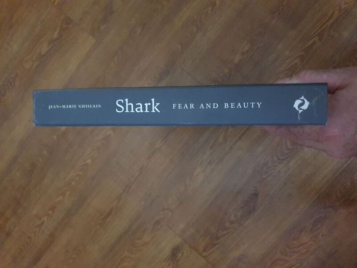 Shark, Fear and Beauty, Jean-Marie Ghislain