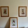 Set of 4 vintage-style sporting/gentleman prints in matching frames Image 5