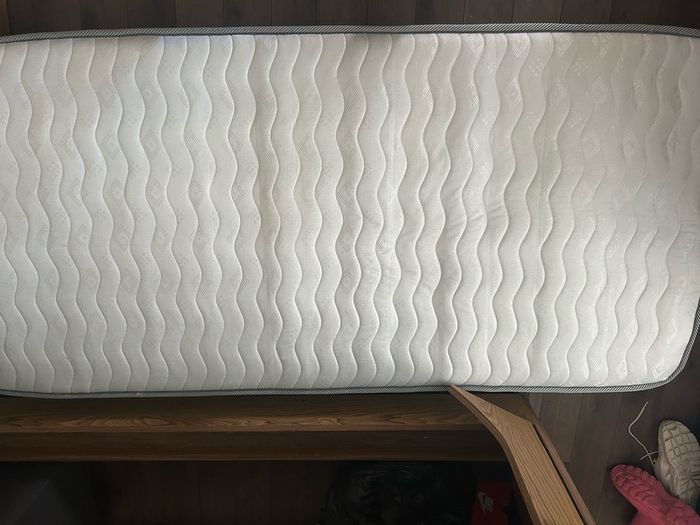 2x Excellent Condition single Ash bed from Caffrey's Furniture