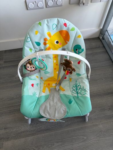 baby bouncer