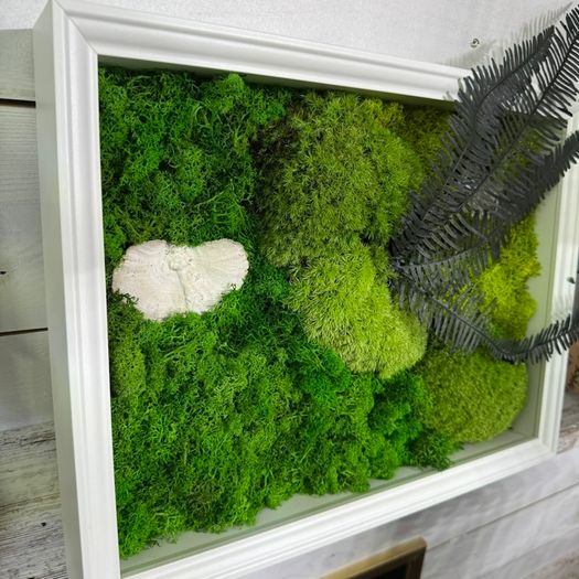 Wall decor 33x45cm Natural moss