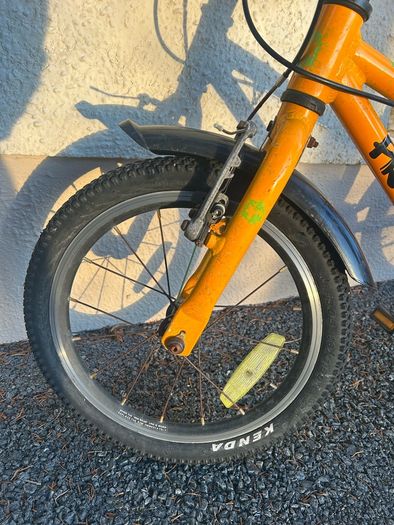 Frog bike 44