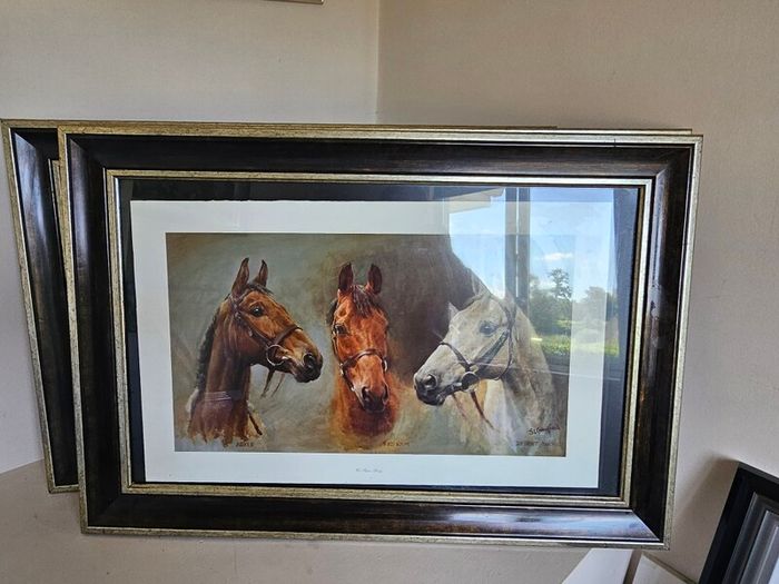Trio of Racehorses