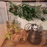 terarium Image 8