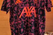 Liverpool training jerseys season 25/26