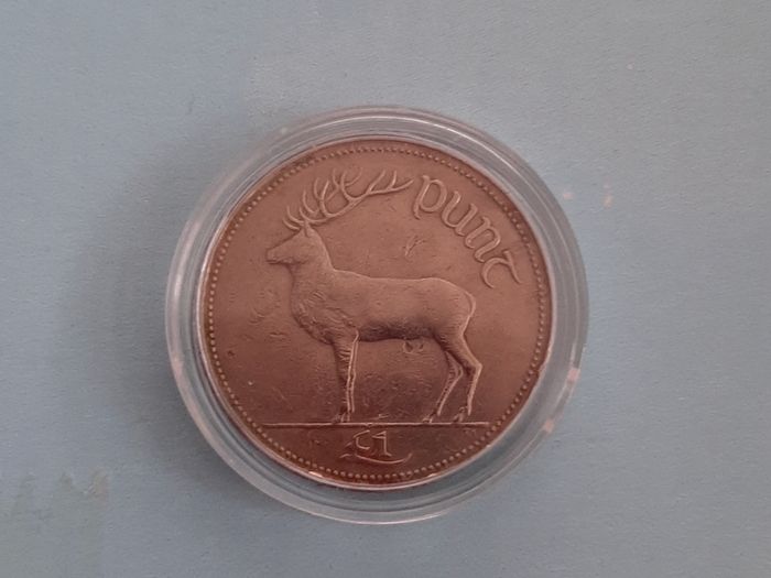1 pound coin in coin case