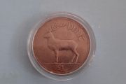 1 pound coin in coin case