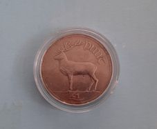 1 pound coin in coin case