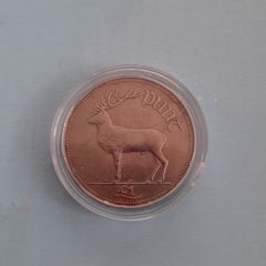 1 pound coin in coin case