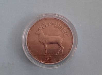 1 pound coin in coin case