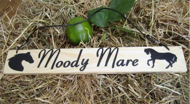Equestrian stable door locker wooden hanging signs plaques with the horse pony name