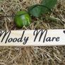 Equestrian stable door locker wooden hanging signs plaques with the horse pony name Image 5