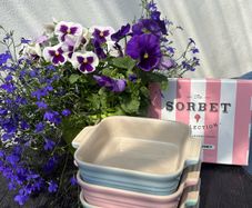 Le Creuset Sorbet Collection Set of 4 Square Baking Dishes 13cm