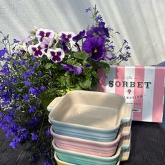 Le Creuset Sorbet Collection Set of 4 Square Baking Dishes 13cm