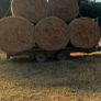 Hay Image 4
