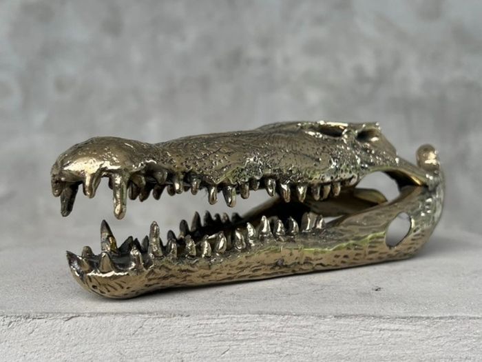 Saltwater Crocodile Skull - Polished Bronze
