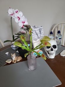 Venus flytrap artifical plant