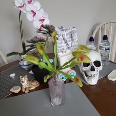 Venus flytrap artifical plant
