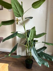 artificial plant