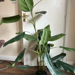 artificial plant