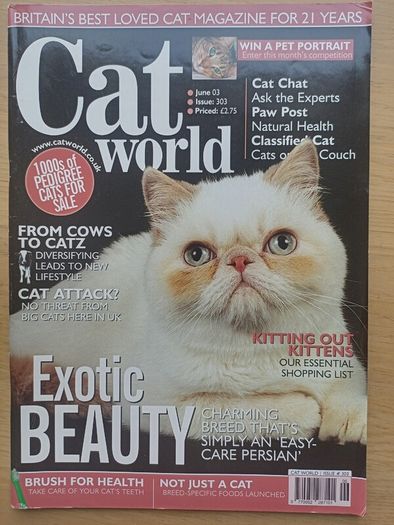 Cat World