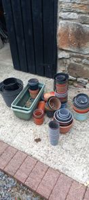 free flower containers