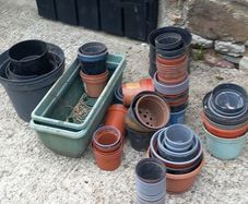 free flower containers