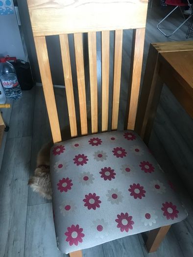 Dining Table & Six Chairs