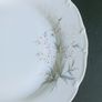 MZ Moritz Zdekauer Bohemian Porcelain Dinnerware Image 8