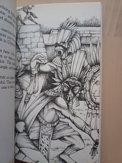 Choose Your Own Adventure by R.A. Montgomery (Illustrated Fantasy Retro Game Books 2005 NEW)