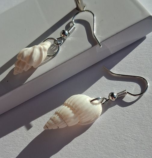 Mini Conch Spiral Shell Earrings