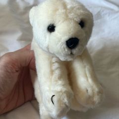 Little white polar bear teddy