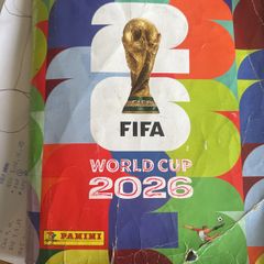 panini world cup