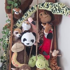 Teddy zoo