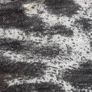 Animal Print Knit Image 2