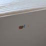 ikea single bed with underbed and storage Image 5