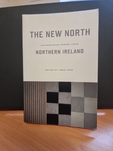 The New North: Contemporary Poetry from Northern Ireland (Paperback)