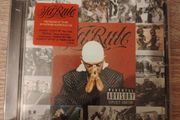 Ja Rule (Pain is Love)