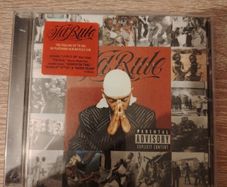 Ja Rule (Pain is Love)