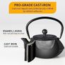 Iron Teapot set, Traditional Japanese Tetsubin Tea Kettle Cast Iron Teapot with Stainless Steel Infuser, Antique Small Dot Design, 2 Iron Cups and Trivet Stand Tray, 700ML/ 24OZ Image 5