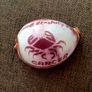 Cancer Zodiac Shell - Polished Decorative Piece Image 2