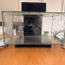 fluval edge aquarium fish tank Image 2