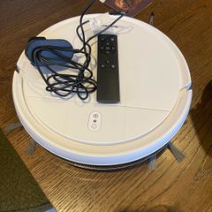 robot hoover