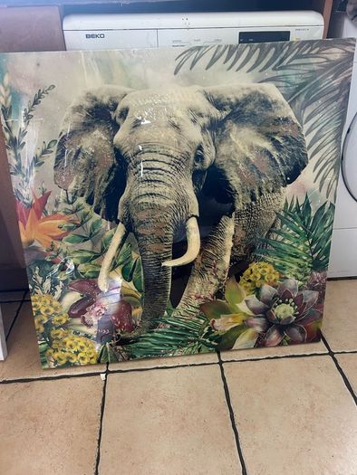pictures/ painting