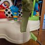 jumparoo Image 3