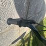 Monster Truck Bike Image 8