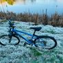 Bike Image 6