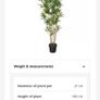 Artificial bamboo plant + vase Image 3