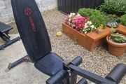 Gym Bench and Preacher Curl
