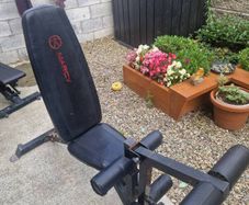 Gym Bench and Preacher Curl